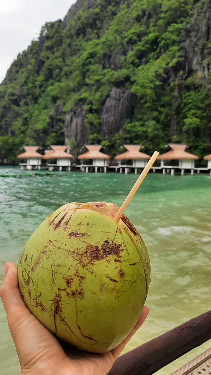 zesea's tweet photo. Paradisiac view in Miniloc island, El Nido, Palawan - Philippines #elnido #palawan #Philippines #resort #elnidoresort https://t.co/fnuZSECpvQ