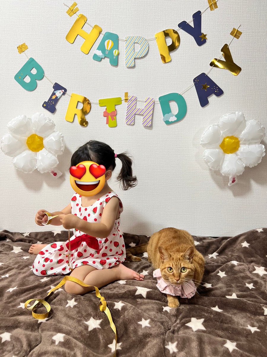 aya811s's tweet photo. あやちゃん🐈
お誕生日とおうち記念日♡
お誕生日がわからないので
毎年一緒にお祝い🎂✨
毎日癒してくれてありがとう。
３歳おめでとう😌🤍🤍
#猫　#保護猫　#愛猫　#あやちゃん #猫好きさんと繋がりたい　#茶トラ
#お誕生日　#おうち記念日　#おめでとう https://t.co/vuZrGVv5X9