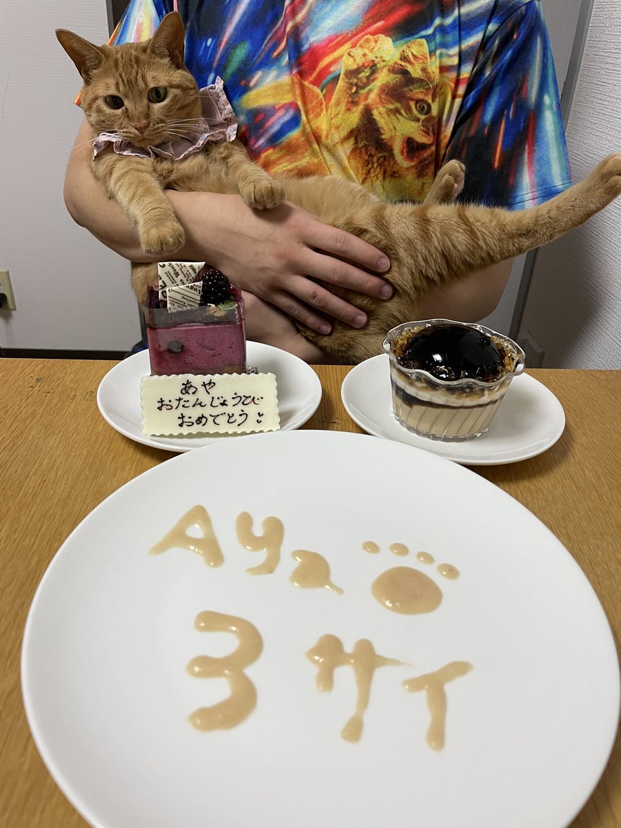 aya811s's tweet photo. あやちゃん🐈
お誕生日とおうち記念日♡
お誕生日がわからないので
毎年一緒にお祝い🎂✨
毎日癒してくれてありがとう。
３歳おめでとう😌🤍🤍
#猫　#保護猫　#愛猫　#あやちゃん #猫好きさんと繋がりたい　#茶トラ
#お誕生日　#おうち記念日　#おめでとう https://t.co/vuZrGVv5X9