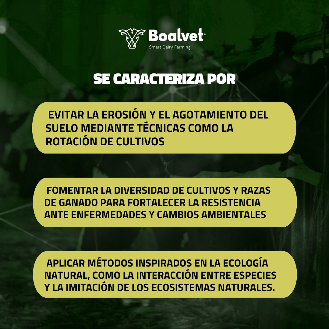 BoalvetAI's tweet photo. La agricultura y ganadería 👩‍🌾 generativa se caracteriza por: 
#sostenibilidad #ÉxodoRural #EspañaVacía #empresafamiliar #agricultura #agro #futuro #productividad #ruralia #rural #campo #sectorlacteo #sectoragricola #RuralIAizate #datos #datoscuriosos #españa #lacteos https://t.co/uo5JEqb9Xj