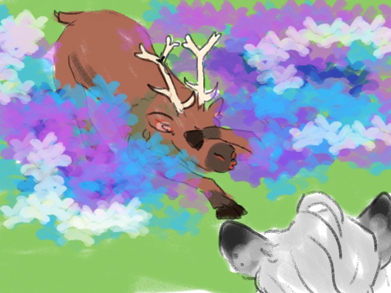 Deer René 🦌🎄(ติดปั่นเจคจบ) tweet media