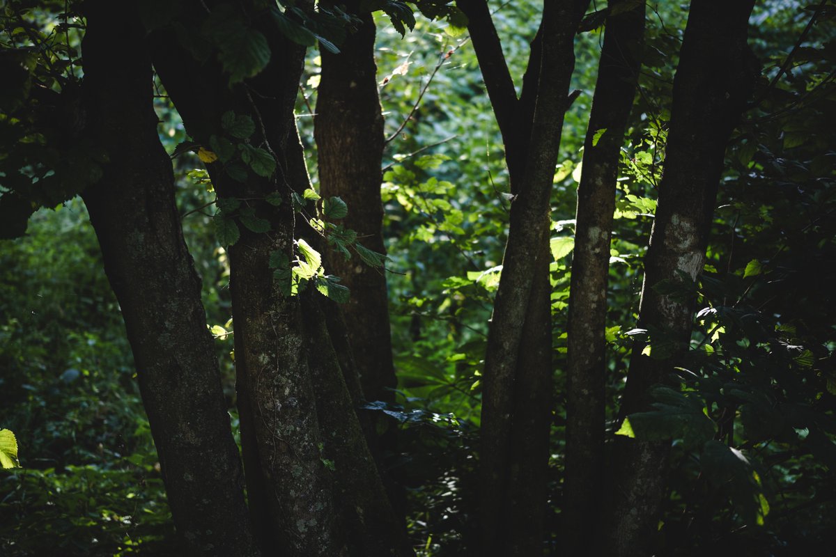 Nao (@adhn_ph) on Twitter photo 