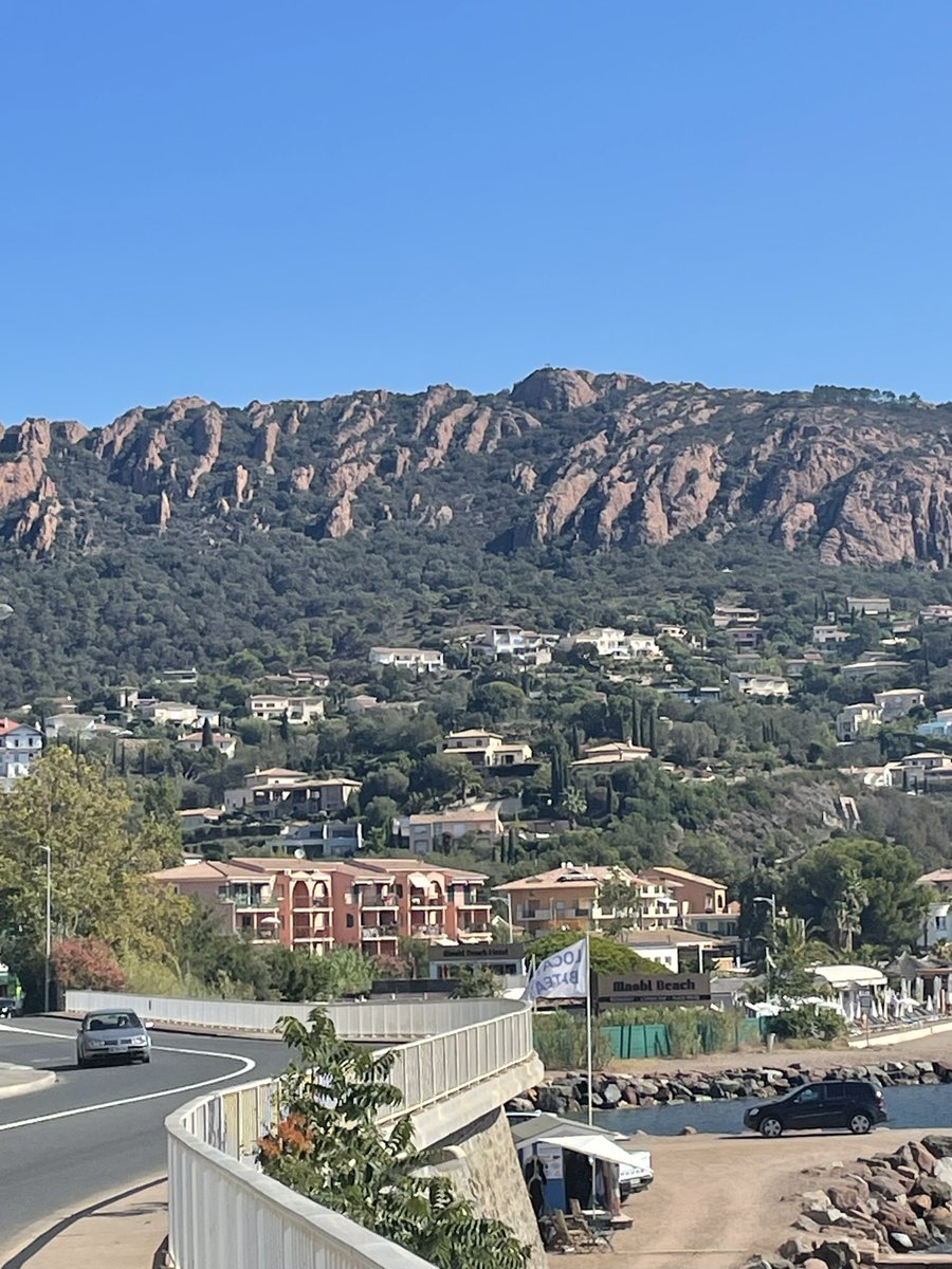 Peter Hanekamp tweet media