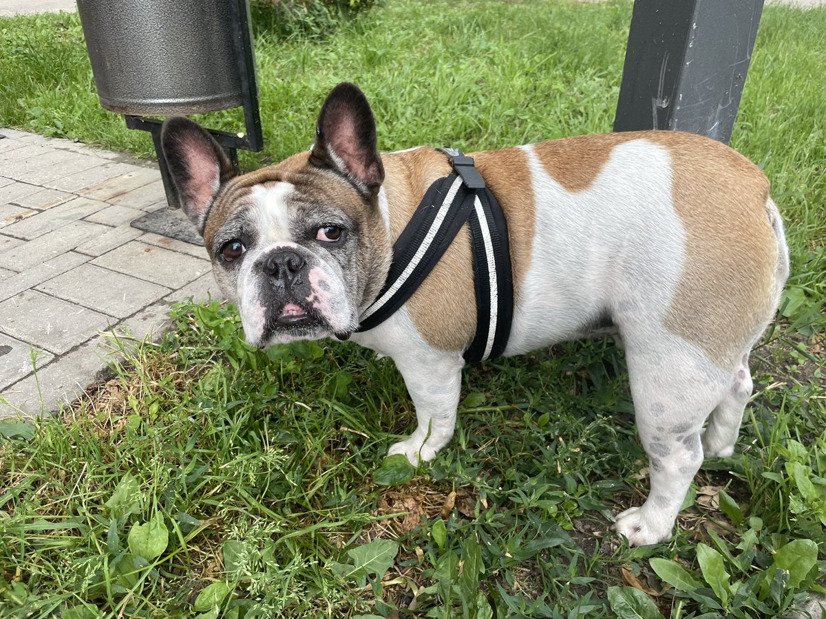 Его зовут Дантес