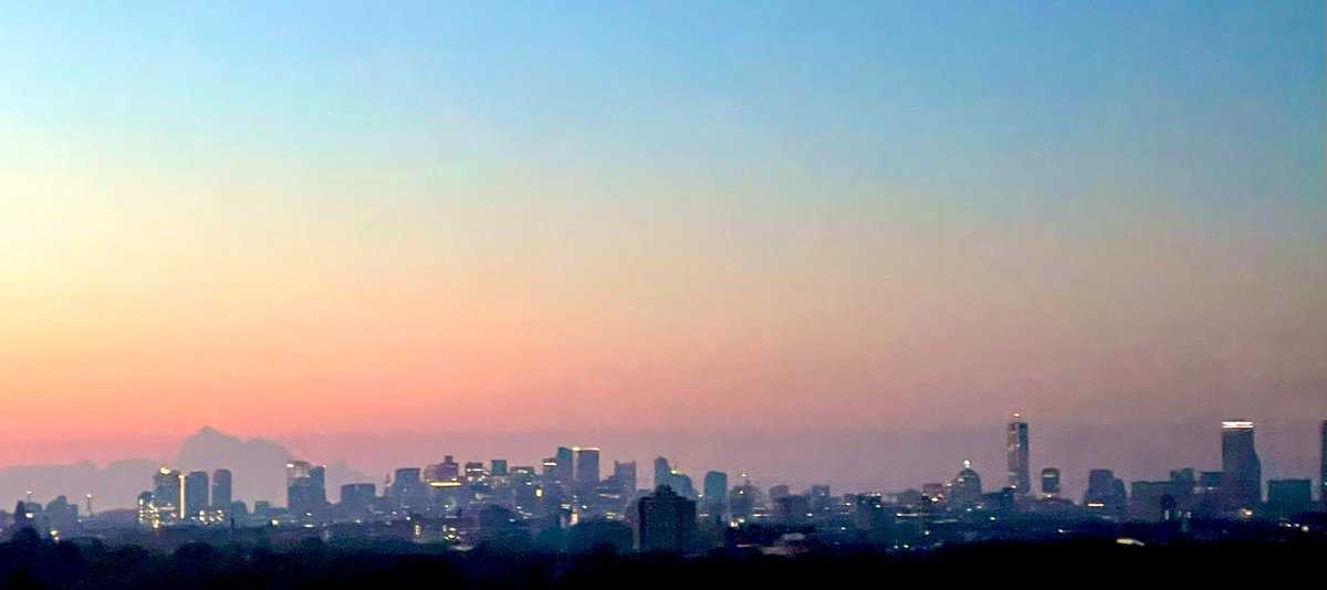 peter payack tweet media