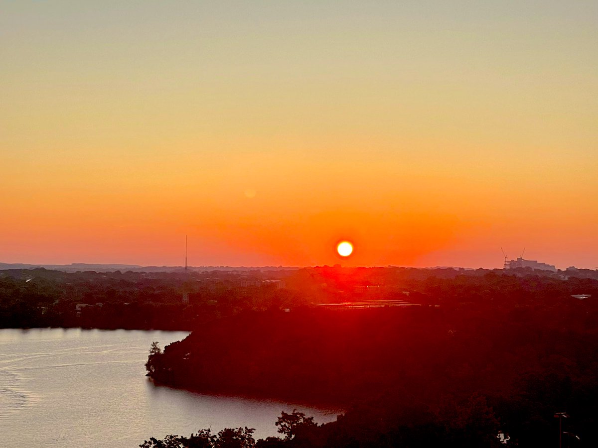 peter payack tweet media