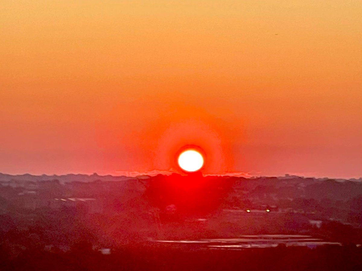 peter payack tweet media