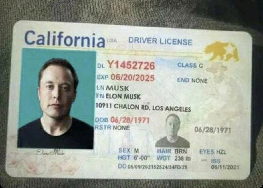 cb_doge's tweet photo. Instagram is full of scammers. A friend of mine there, received a DM from someone claiming to be Elon Musk. That scammer also shared this driving license to convince her. 🤣 https://t.co/tT4njbp421