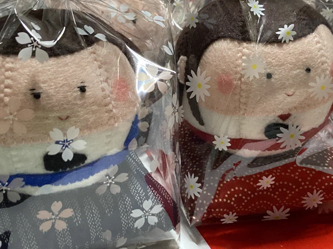 お化粧して袋に入ったよー 
