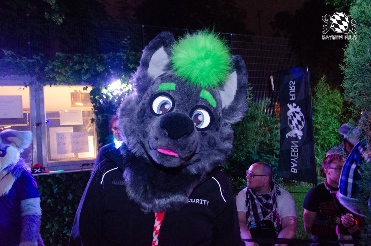 "Hay!" :D

#BFD9 #FursuitFriday

🐺 <a href="/Subius/">Subius</a>
📸 @asti_wolf

Ihr wollt uns unterstützen? Super!
Dann hier entlang, unter bayern-furs.de/ueberuns/verei…