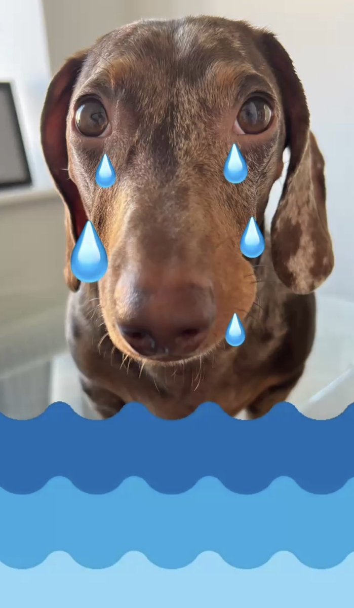 skybluesausage's tweet photo. 🇧🇷 👋🏽 😢 https://t.co/1oBvfBn9Id