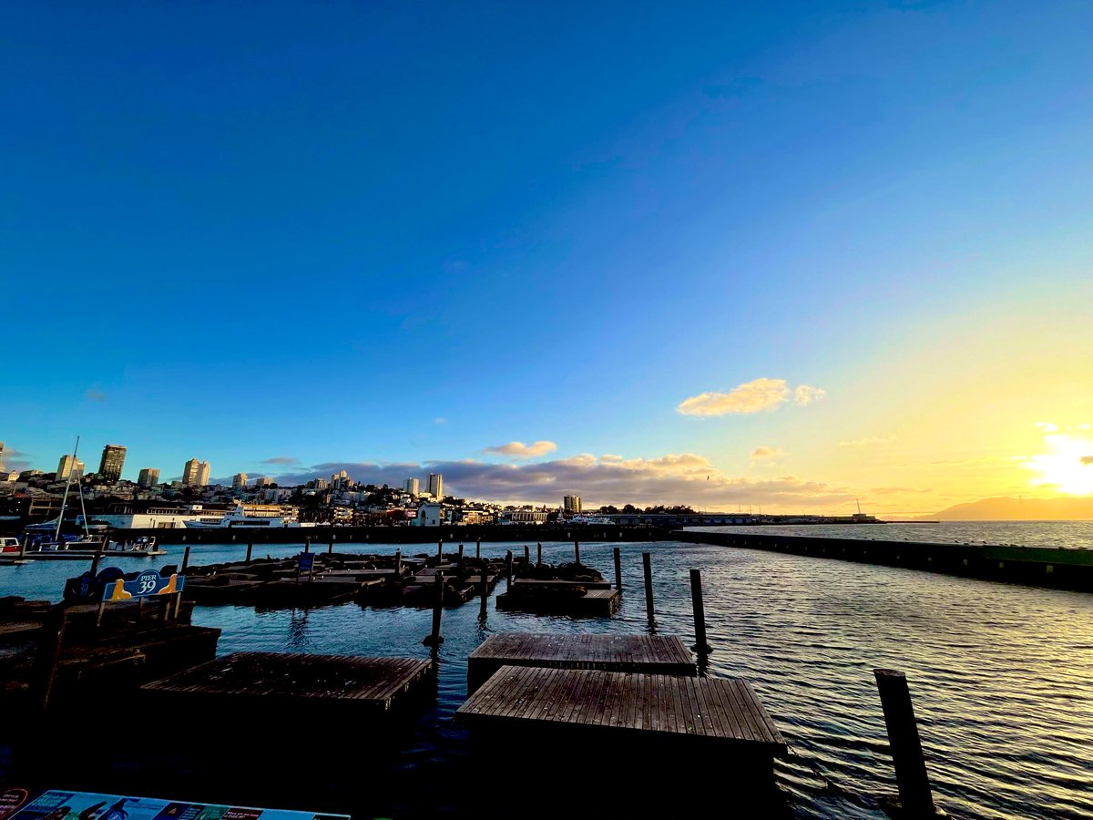 marco congiu tweet media