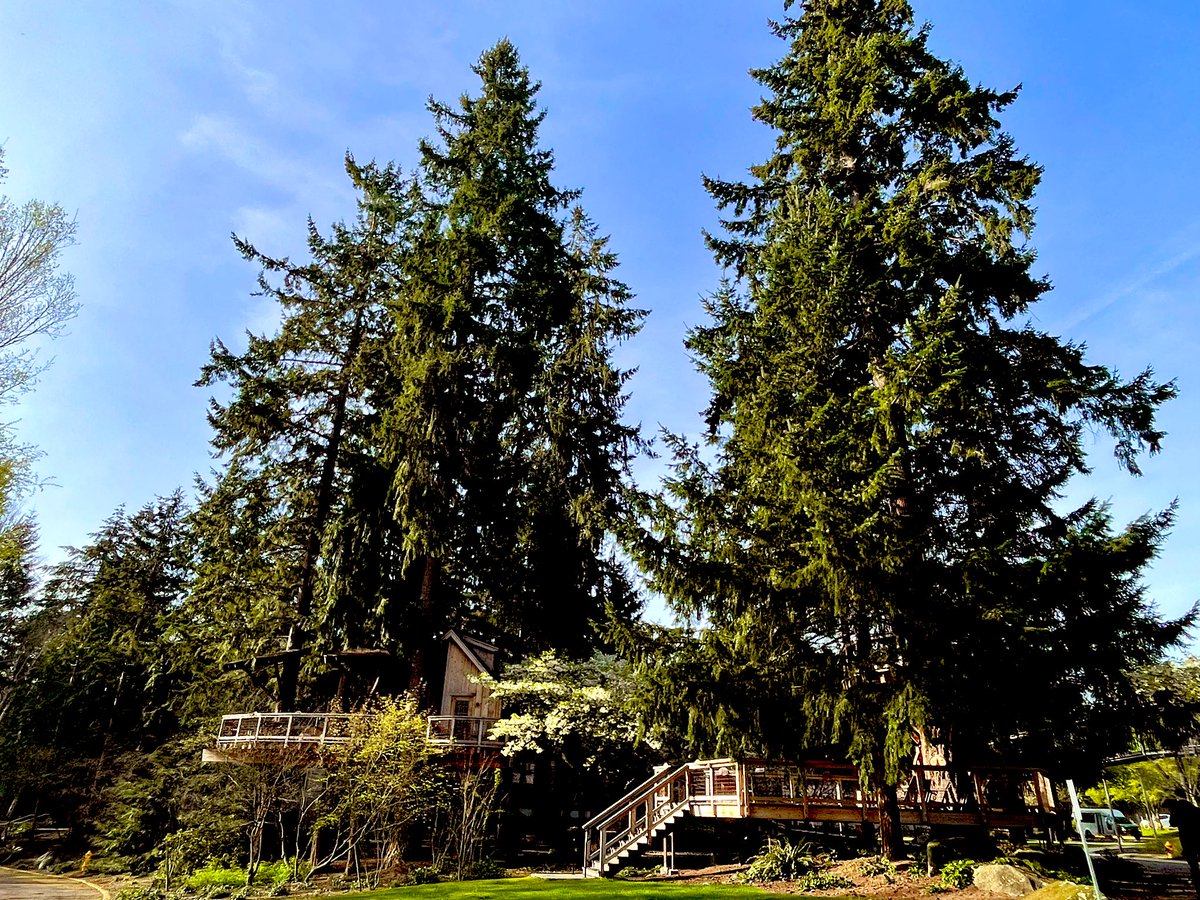 Ho fatto un giro tra Seattle e S. Francisco per vedere come <a href="/Microsoft/">Microsoft</a> e <a href="/Google/">Google</a> stanno sviluppando la AI.

“Prova di Intelligenza” va in onda <a href="/SkyTG24/">Sky tg24</a> questa domenica (11:05 e 18:33), lunedì (alle 18:33), venerdì 18/8 (alle 18:30) e il weekend successivo.