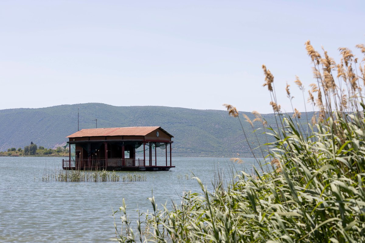 VisitCMacedonia's tweet photo. Wanna create your own #great world of happiness? Piece of cake! #VisitPella!

#DosomethingGreat #VisitCentralMacedonia #visitgreece #lake #vegoritida #just60minutes #uniqueexperience https://t.co/hlLV813qFM