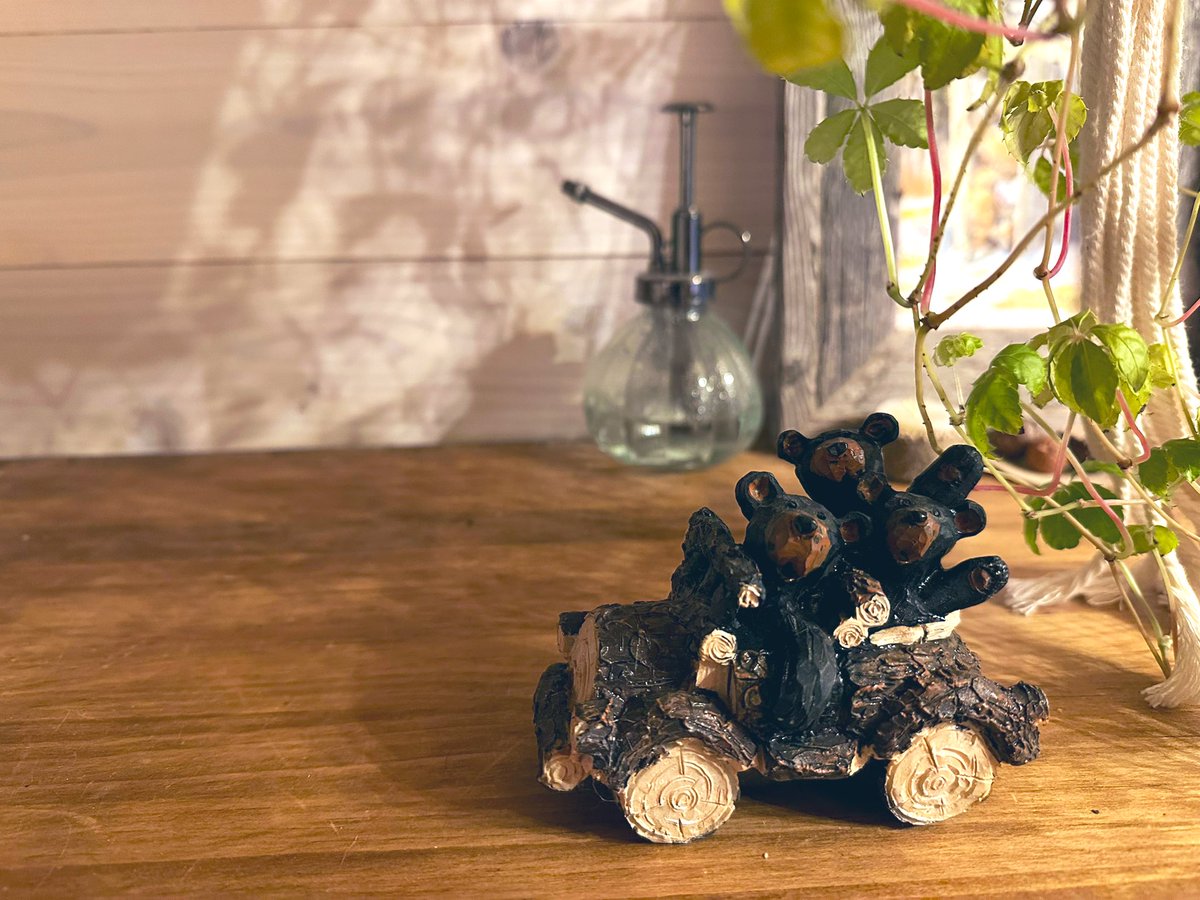TinyhouseT's tweet photo. 5年前に受けたある雑誌の取材を、今日もう一度いただいた。

当時はタイニーハウスを構想中の段階。
その時話してた「三角屋根にしたい」も「動物の置物だって無駄じゃない」も、忘れてたけど無意識に実行されてて、好きなものって変わらないんだなぁと実感。
成長してないだけか🥹 https://t.co/andrW8AGbl