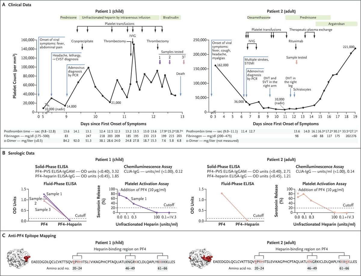 Adenovirus infection may trigger production of antibodies that bind to platelet factor 4 (PF4), leading to thrombocytopenia & thrombosis. This is the first time antibodies that bind to PF4 have been reported in patients who were not vaccinated. nejm.org/doi/10.1056/NE…