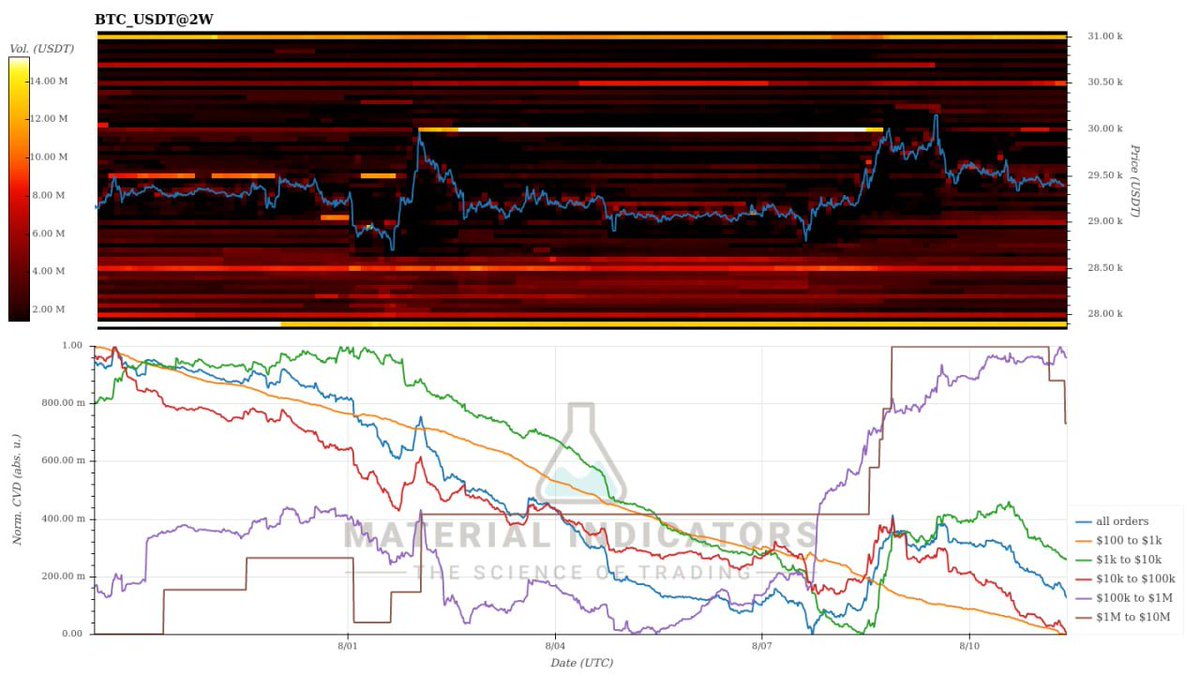 crypto_gari's tweet photo. #CVD #Firechart #BTC 

갈색 고래가 조금 팔았네..... 보라 고래가 지금껏 많이 사긴했지만.......  결국 상승주도는 갈고가 하는데..... https://t.co/qwEMJxIgga