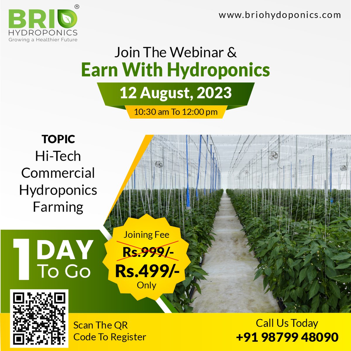 BrioHydroponics's tweet photo. Don't miss out on this golden opportunity to learn and earn with hydroponics!  

Join our exclusive webinar and secure your spot today! 

https://t.co/fBk9JjmLUL https://t.co/XC7pXKqSKI