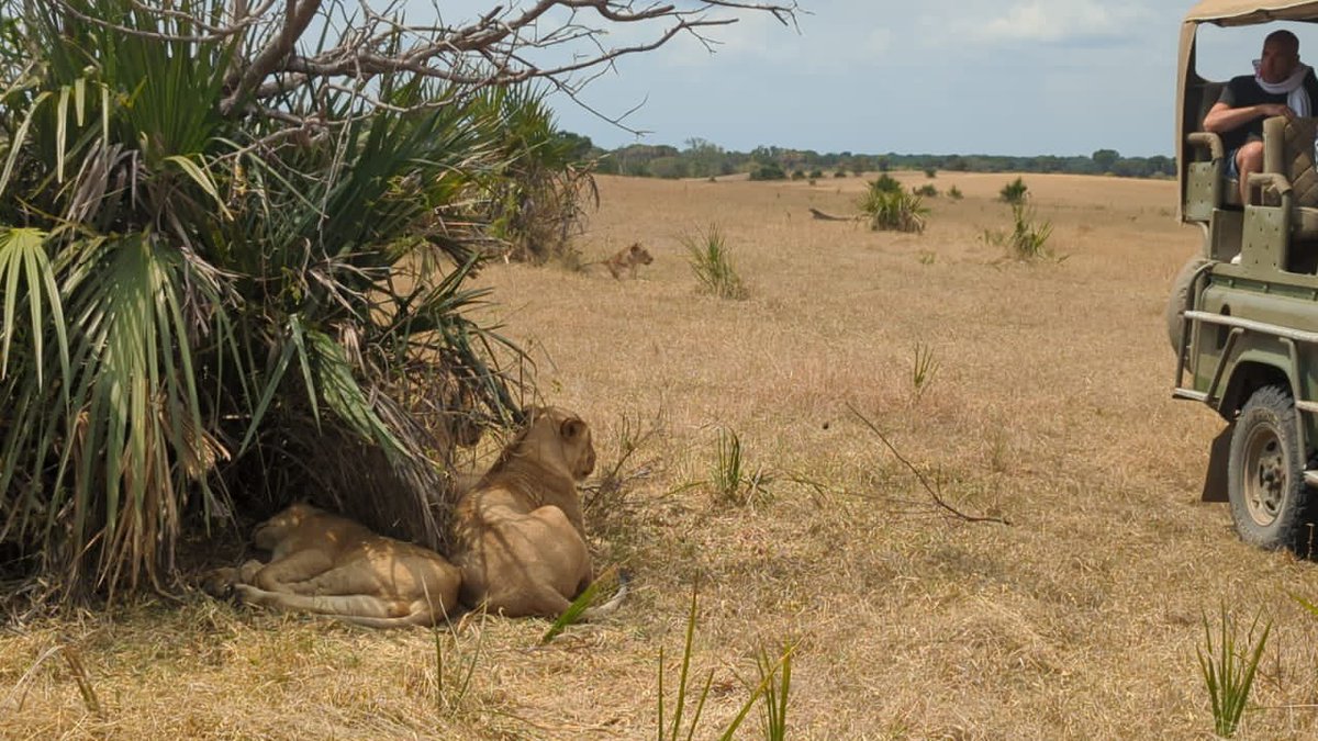 SafariGateway_'s tweet photo. Enjoy our daily trip to Selous game reserve/ Nyerere national park with best prices.
Visit; https://t.co/YDXcBNeDmY
โ๏ธ +255 777 232 747
#PoriKwaPori #VisitWithUs https://t.co/3BJweECSwu