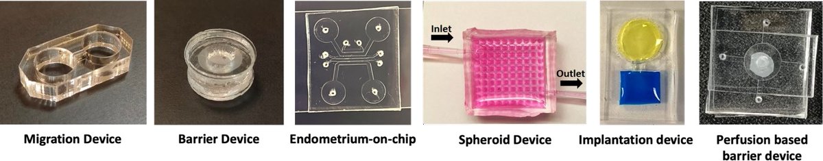 DSTIndia (@indiadst) on Twitter photo A bunch of #devices mimicking the #placenta at various stages of #pregnancy can help in #drug #discovery: #study.
<a href="/DrJitendraSingh/">Dr Jitendra Singh</a> <a href="/rajesh_gokhale/">Rajesh Gokhale</a> <a href="/guptaakhilesh63/">Dr Akhilesh Gupta</a> <a href="/iitbombay/">IIT Bombay</a> <a href="/icmrnirrch/">ICMR-NIRRCH</a> <a href="/serbonline/">SERB</a>
🔗dst.gov.in/bunch-new-plac… A bunch of #devices mimicking the #placenta at various stages of #pregnancy can help in #drug #discovery: #study.
<a href="/DrJitendraSingh/">Dr Jitendra Singh</a> <a href="/rajesh_gokhale/">Rajesh Gokhale</a> <a href="/guptaakhilesh63/">Dr Akhilesh Gupta</a> <a href="/iitbombay/">IIT Bombay</a> <a href="/icmrnirrch/">ICMR-NIRRCH</a> <a href="/serbonline/">SERB</a>
🔗dst.gov.in/bunch-new-plac…