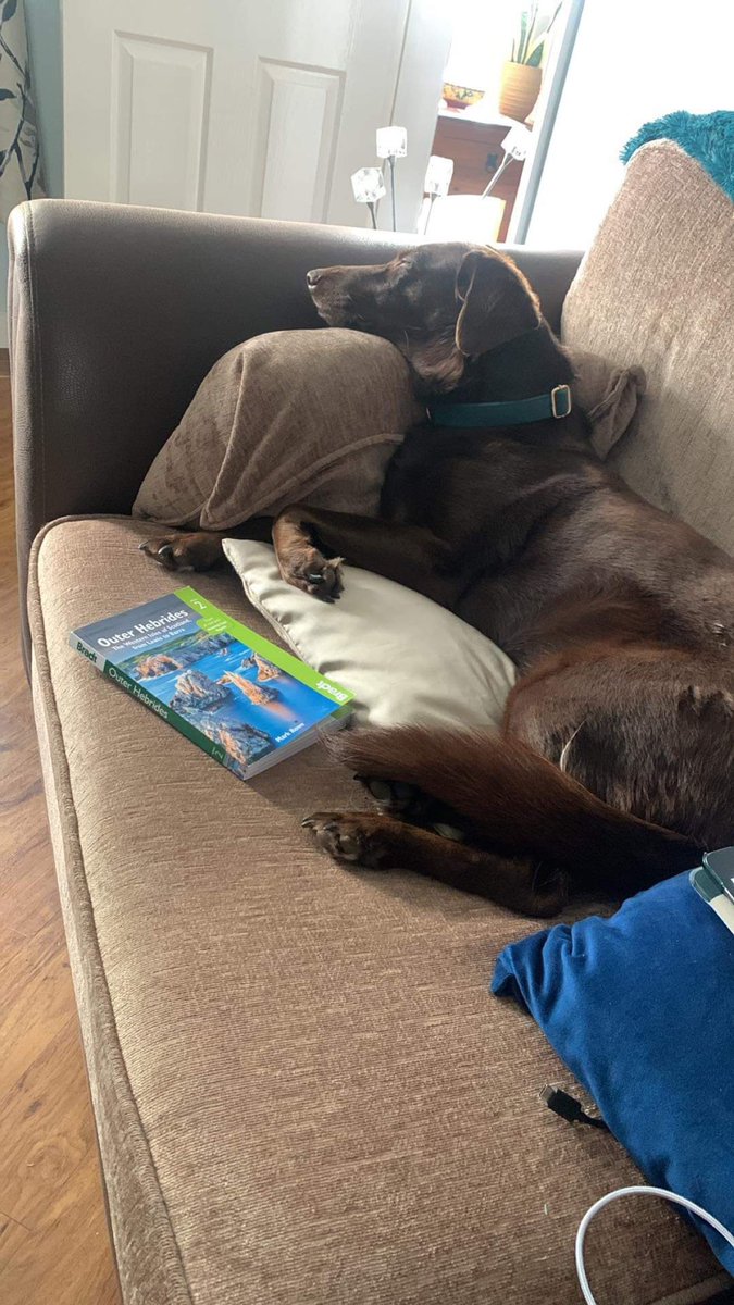 I’ve been doing my homework. I know exactly which beaches I want to go zoomies on #Scotland #OuterHebrides