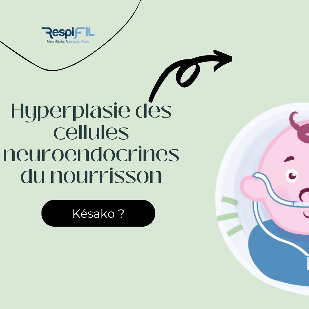 RespiFIL's tweet photo. Suite de notre été ✨ #ConceptÉducatifRespiFIL ✨, du mardi, retrouvez les informations ℹ️ sur la #NEHI pour la faire connaître au plus grand nombre
➕ infos : https://t.co/fny7G5ylkP
@RespiRare_FR @drnadianathan @AllianceMR @maladierareinfo @SPLF_SocPneumo @ajpo2 @SITimagerie https://t.co/2ZjCVvKqCI