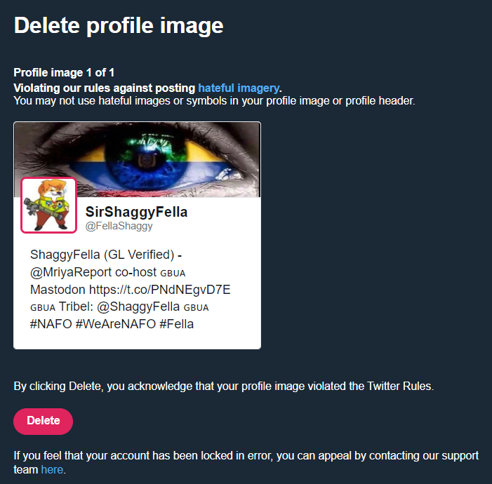 DMBrookfield's tweet photo. Hey @X @twittersupport
What is going on with you???
Please tell me how it is possible for this to be a hateful image? A child of 10 can work out it isn't & that the reporter needs sanctioning!
#NAFO #NAFOFellas #PleaseBoost https://t.co/JmbzlbuATl