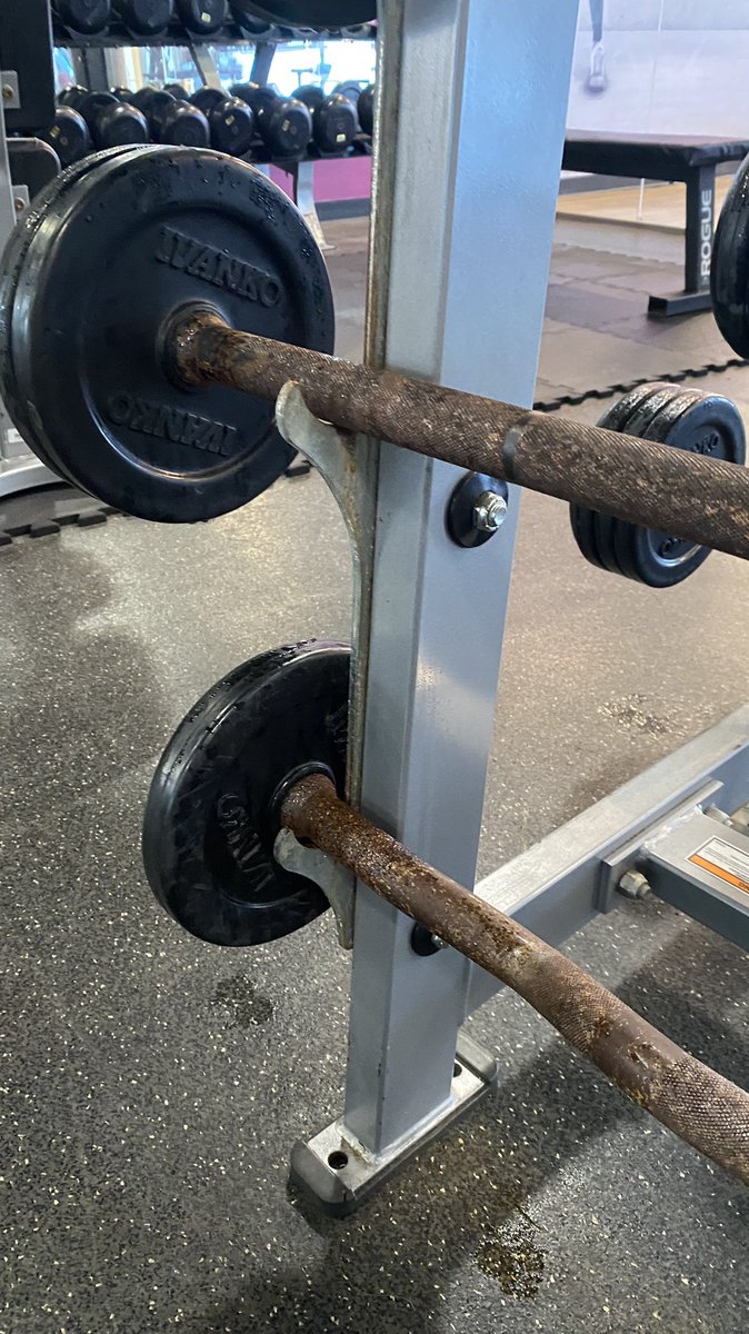 Lena🐻 tweet media