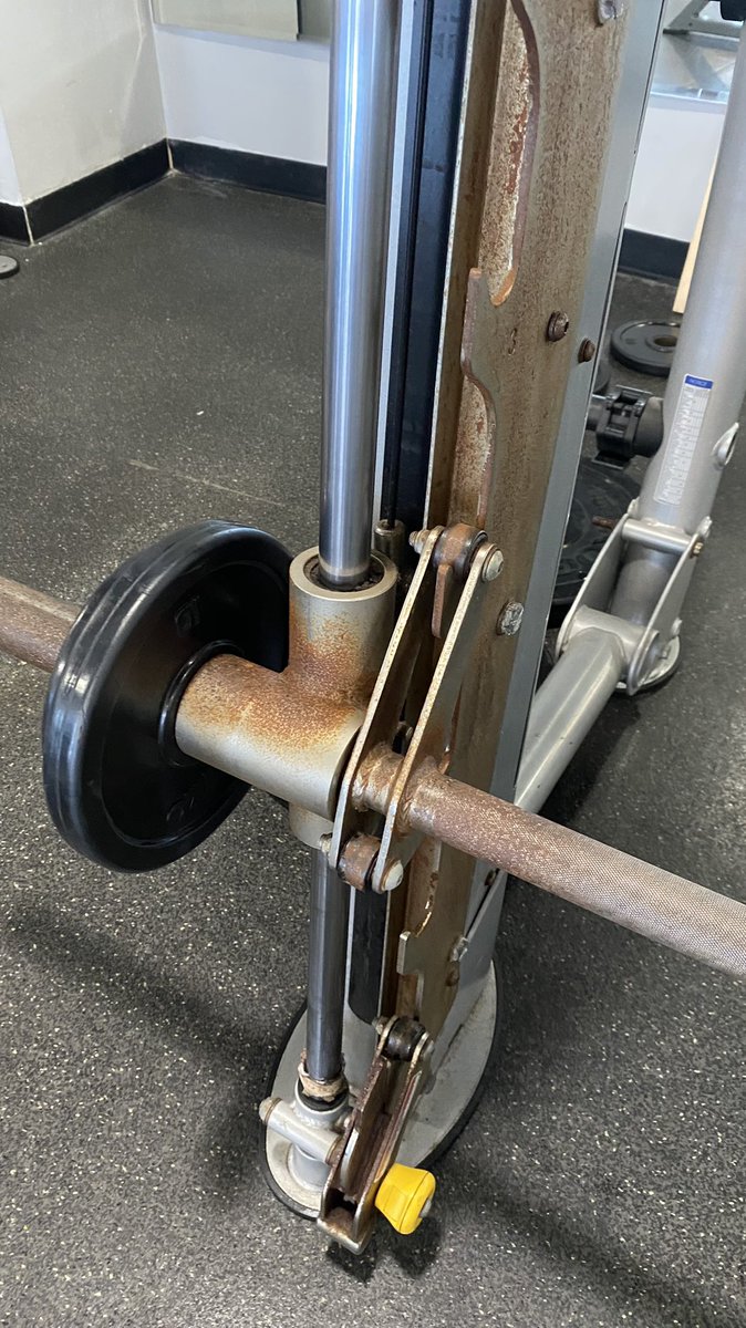 Lena🐻 tweet media