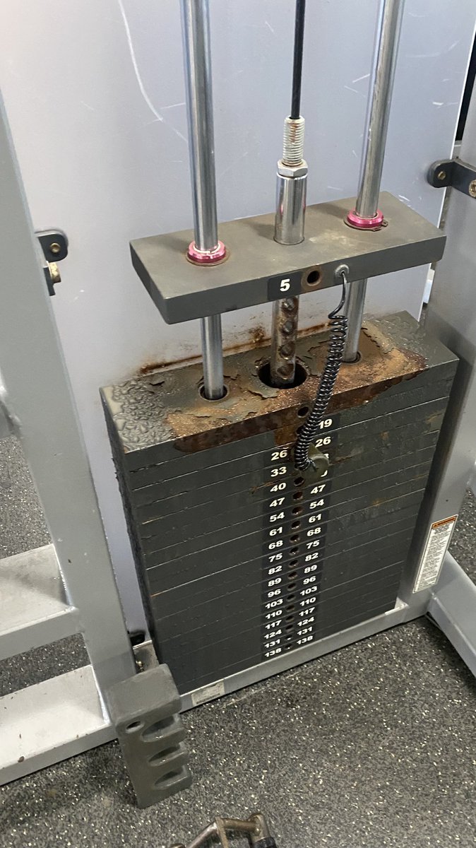 Lena🐻 tweet media