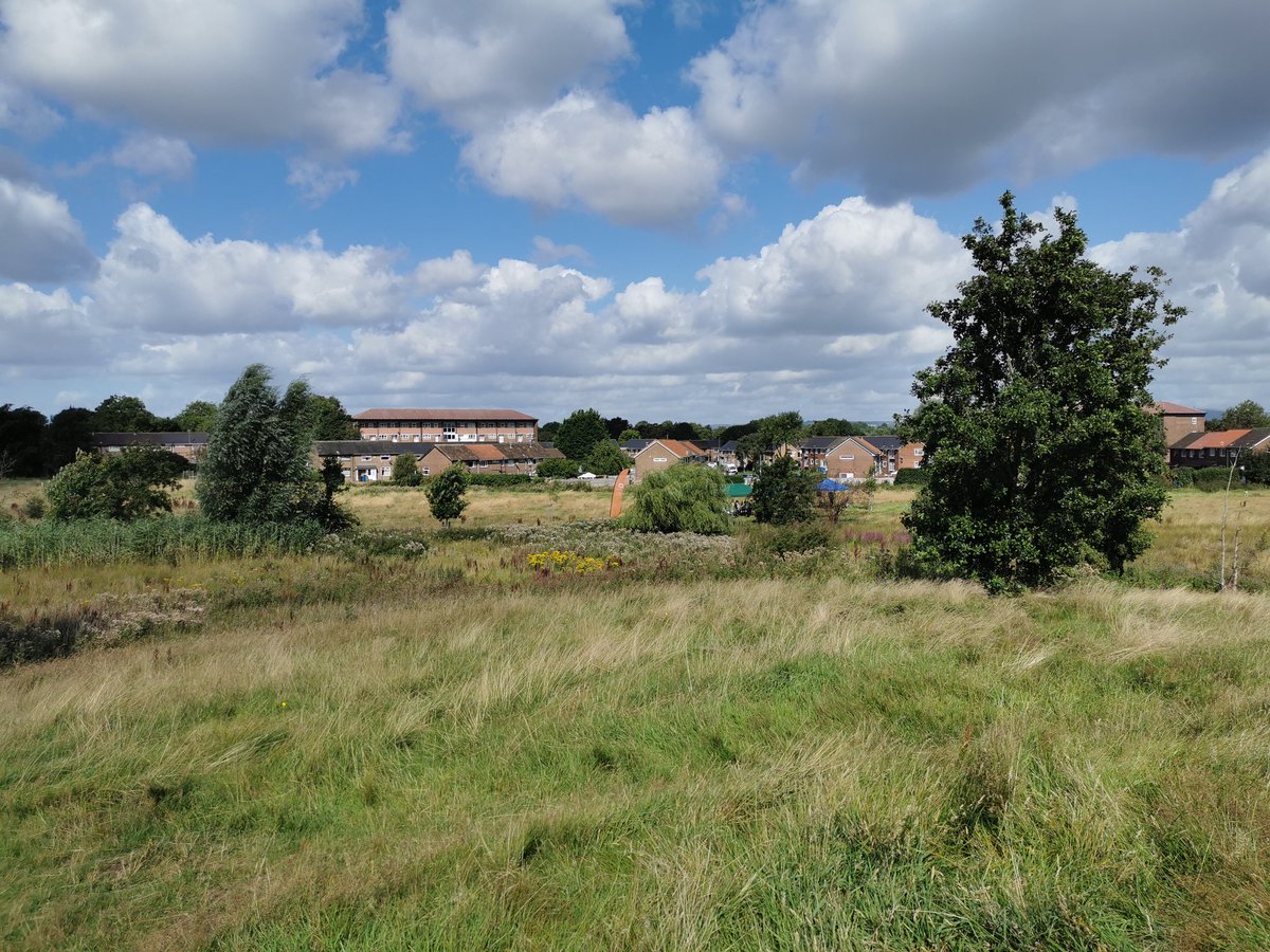 Aristolochia's tweet image. A great day to be out in Boz Country Park with @CityofTreesMcr. Come on over and discover what's living in the meadows, woodlands and ponds