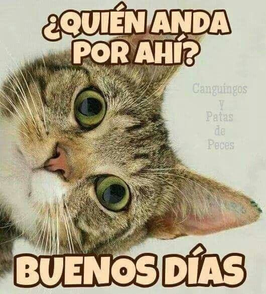 mildre (@jesus372333) on Twitter photo Hermoso día mi gente 😘
#LaPazEsClave
<a href="/jesus372333/">mildre</a> <a href="/chande5035/">chande</a> <a href="/cpmarp21/">CpMarp21 🐾🐾</a> <a href="/nesyhu2/">nesyhu2</a> <a href="/ludwing_hans/">Hans Ludwing</a> <a href="/flor1730/">Teresa Velázquez</a> <a href="/AndreaM151095/">Andrea😻</a> <a href="/isabelbb95/">isabel</a> <a href="/josefin602/">josefina</a> <a href="/Limpio30518009/">@Limpio</a> <a href="/IralisailC/">Iralisail. Carballo</a> <a href="/larveja31/">@Larveja3</a> <a href="/Camilaplu/">Camilo</a> <a href="/Aolivero2002/">Aiskel Olivero</a> <a href="/ApureHumana/">GESTION HUMANA INIA APURE</a> <a href="/MirnaGiralit/">Mirna Giralit Olivero</a> <a href="/Mippcivzla/">MIPPCI</a> <a href="/Nelsontrejo92/">Nelson Trejo</a> <a href="/Briggittems1/">Tuitera Juvenil 💕💞</a> Hermoso día mi gente 😘
#LaPazEsClave
<a href="/jesus372333/">mildre</a> <a href="/chande5035/">chande</a> <a href="/cpmarp21/">CpMarp21 🐾🐾</a> <a href="/nesyhu2/">nesyhu2</a> <a href="/ludwing_hans/">Hans Ludwing</a> <a href="/flor1730/">Teresa Velázquez</a> <a href="/AndreaM151095/">Andrea😻</a> <a href="/isabelbb95/">isabel</a> <a href="/josefin602/">josefina</a> <a href="/Limpio30518009/">@Limpio</a> <a href="/IralisailC/">Iralisail. Carballo</a> <a href="/larveja31/">@Larveja3</a> <a href="/Camilaplu/">Camilo</a> <a href="/Aolivero2002/">Aiskel Olivero</a> <a href="/ApureHumana/">GESTION HUMANA INIA APURE</a> <a href="/MirnaGiralit/">Mirna Giralit Olivero</a> <a href="/Mippcivzla/">MIPPCI</a> <a href="/Nelsontrejo92/">Nelson Trejo</a> <a href="/Briggittems1/">Tuitera Juvenil 💕💞</a>