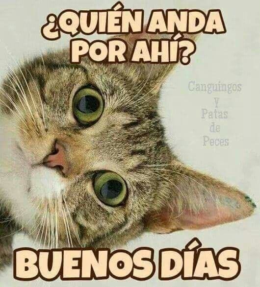 Hermoso día mi gente 😘 #LaPazEsClave @jesus372333 @chande5035 @cpmarp21 @nesyhu2 @ludwing_hans @flor1730 @AndreaM151095 @isabelbb95 @josefin602 @Limpio30518009 @IralisailC @larveja31 @Camilaplu @Aolivero2002 @ApureHumana @MirnaGiralit @Mippcivzla @Nelsontrejo92 @Briggittems1