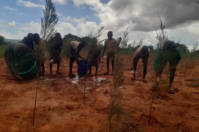 CompassionKE's tweet photo. One of our priorities is to equip our program participants with the knowledge &amp; skills to safeguard their environment, empowering them to lead the charge toward sustainable development.
#YouthDay
#YouthLead https://t.co/yzTXp54Kuv