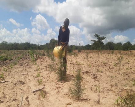 CompassionKE's tweet photo. One of our priorities is to equip our program participants with the knowledge &amp; skills to safeguard their environment, empowering them to lead the charge toward sustainable development.
#YouthDay
#YouthLead https://t.co/yzTXp54Kuv