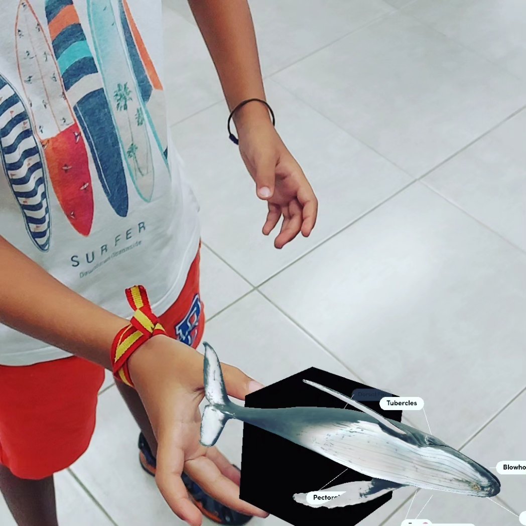 VuelaAlozaina's tweet photo. #VeranoDigital con el #CampamentodeVerano del @aytoalozaina Hoy hemos estado trabajando con #RealidadAumentada usando la app #ObjectViewer  los niñ@s han elaborado su cubo merged y luego lo hemos usado para ver figuras y animales.

@VuelaGuadalinfo #Alozaina 
#Guadalinfo https://t.co/cdyJLGs9hI