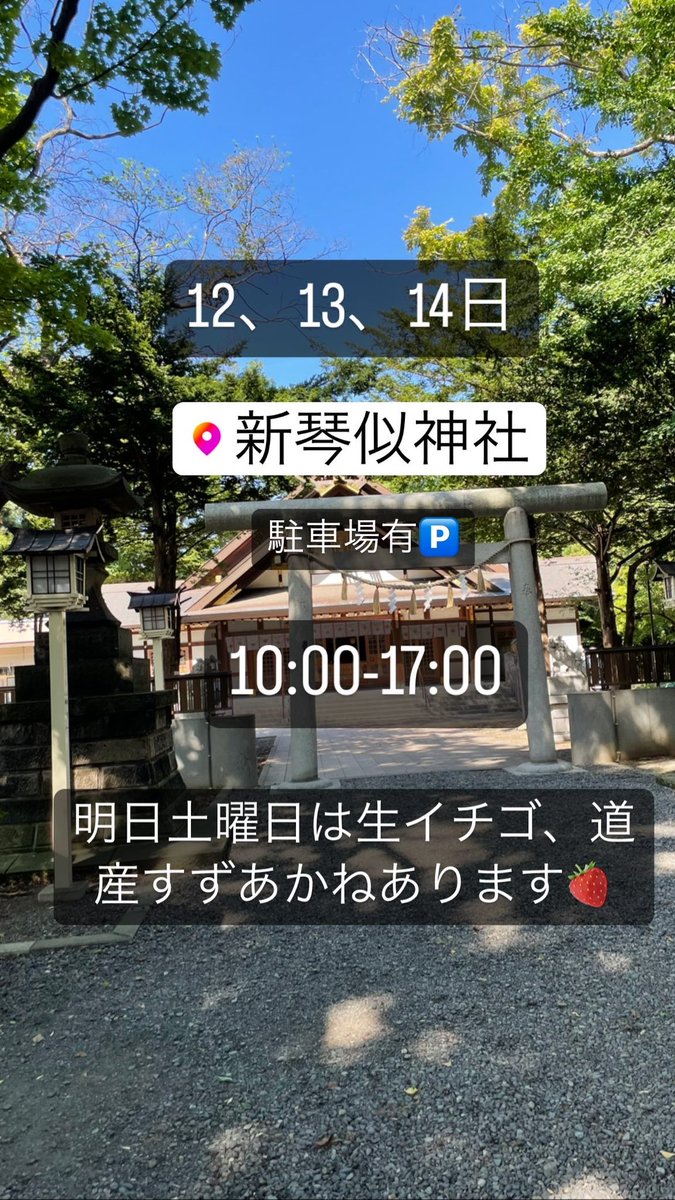 オレンジショコラ、新作メスレー、その他色々あります🍧