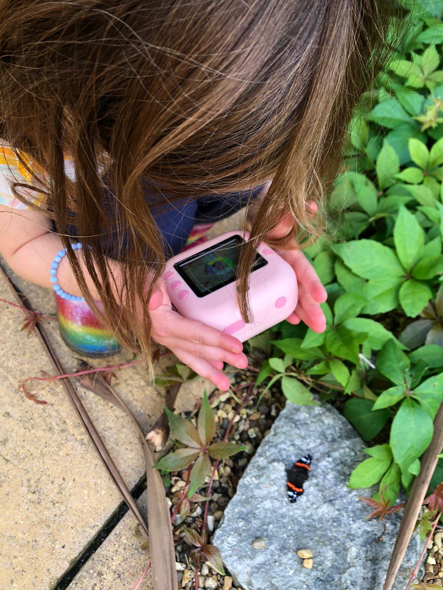 ZCDunnett's tweet photo. My niece took a photo of a butterfly, then realised it had died so she made it a ‘leaf home’ and has given it the name Steve. https://t.co/Op1CR8blmb