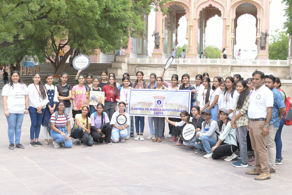 MoveTheWorldIN's tweet photo. Join the #NoPrideInElephantRide campaign!
Citizens of Jaipur walk to end elephant rides in Amer Fort on World Elephant Day, August 2023.
Act now: https://t.co/CyvXfNE0OF
#EndElephantRides #WildlifeNotEntertainers #SayNoToRide #AmerFort #WildlifeBelongsToWild #Bekindtoanimals #WorldElephantDay #bekindtoelephants #saveelephants #wildanimal #animallife
@CMofRajasthan @ashokgehlot51 @lendinghandsf
