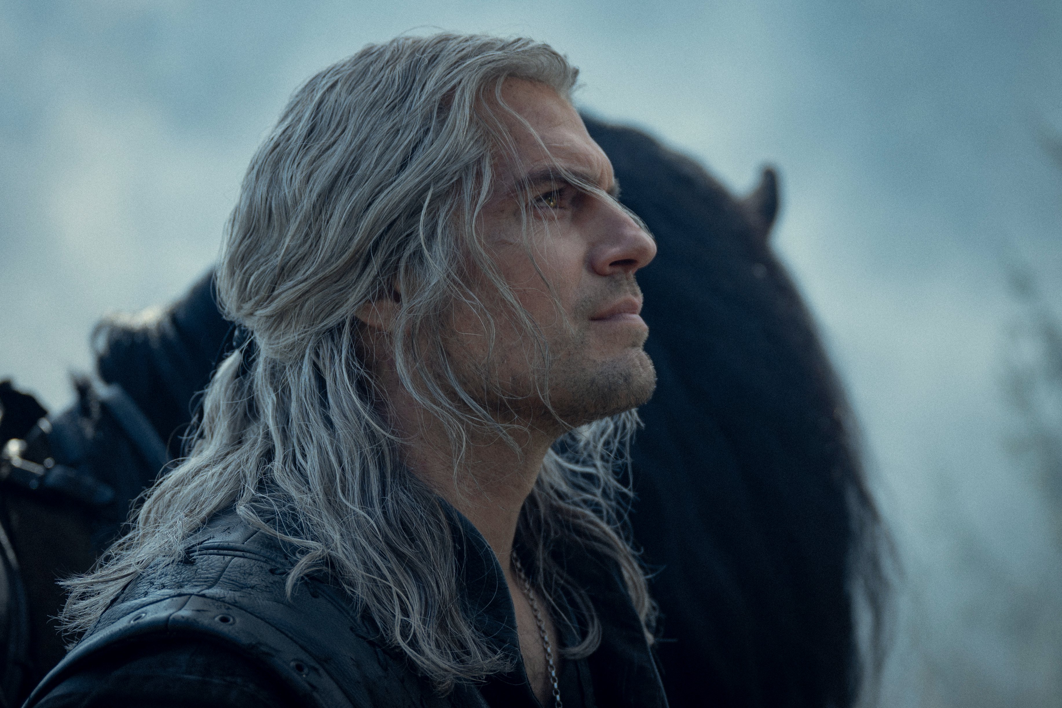 The Witcher (@witchernetflix) / X