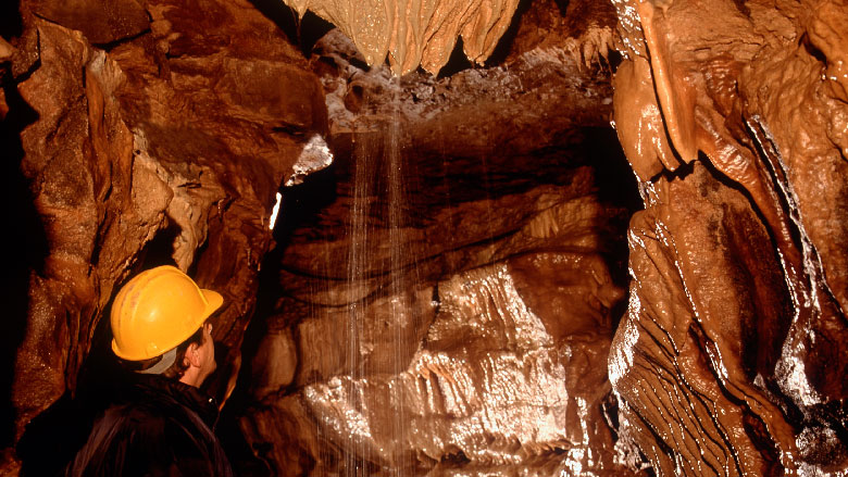 HelloYorkshire's tweet photo. White Scar Cave is the longest show cave in the country. It has thousands of stalactites and underground waterfalls and streams. Have you visited?
#whitscarcave #showcave #ingleton #cave #waterfall
https://t.co/lhadNiOEMA https://t.co/YK6819N2e7