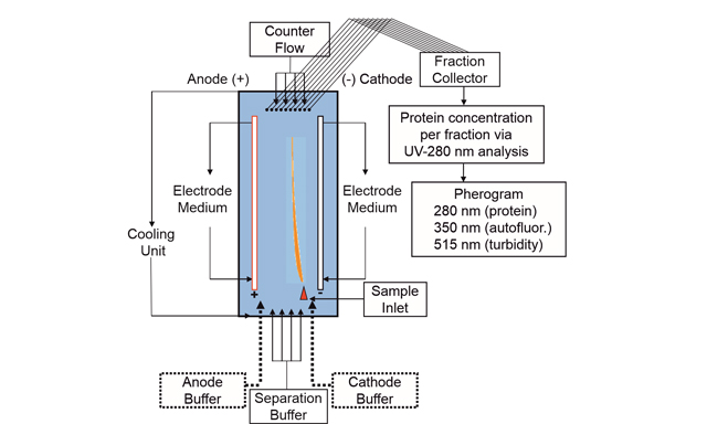 VesiclesAcids's tweet photo. 🥳🥳🥳Sharing a highly cited articles published in EVCNA, 2022.
📌Title: Free flow electrophoresis allows quick and reproducible preparation of extracellular vesicles from conditioned cell culture media
👉Read online: https://t.co/fihRJWl2O3
#exosomes #MSCEVs https://t.co/sgwpDnSg9k