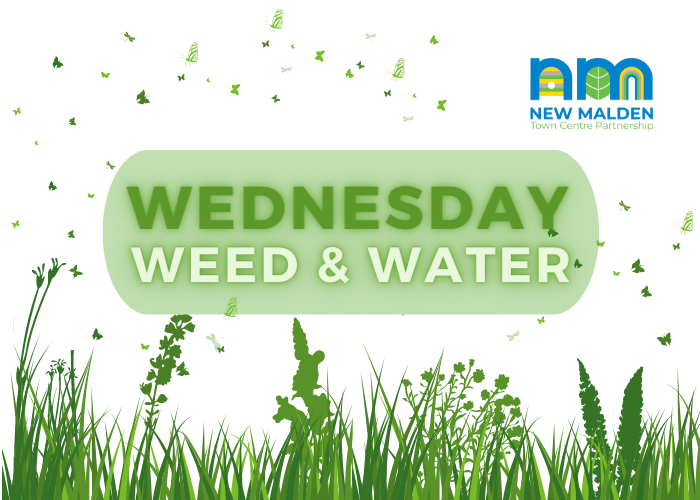 Can you volunteer 1hr of your time please? we could really do with an extra helping hand with watering and weeding in Jubilee Square, New Malden, Wednesday 16th Aug, 7pm-8pm. Please let me know if you can make this, much appreciated. Thank you🙏
#volunteering #communitygardening