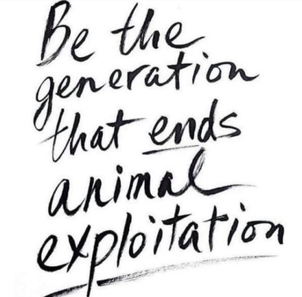 veganfuture's tweet photo. https://t.co/NwKL1o9Wkm