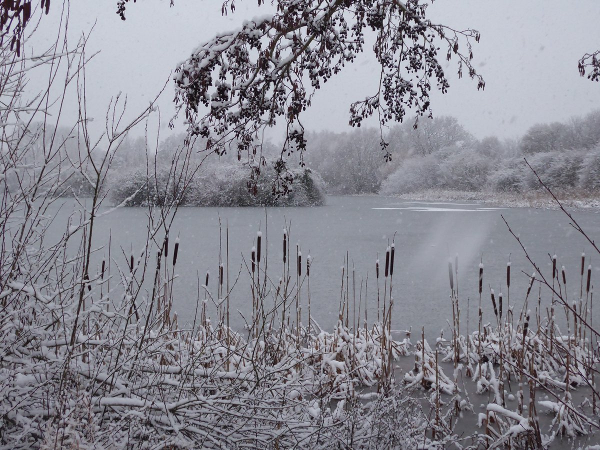 JNCC_UK's tweet photo. Invitation to Tender: Severe Weather Monitoring Contract. The Severe Weather scheme is designed to help with conservation of waterbirds &amp; to manage the disturbance caused by waterfowl shooting during prolonged periods of severe weather https://t.co/nF6Ifp7Wmi Closes 30 Aug https://t.co/h5hfyDVPAA