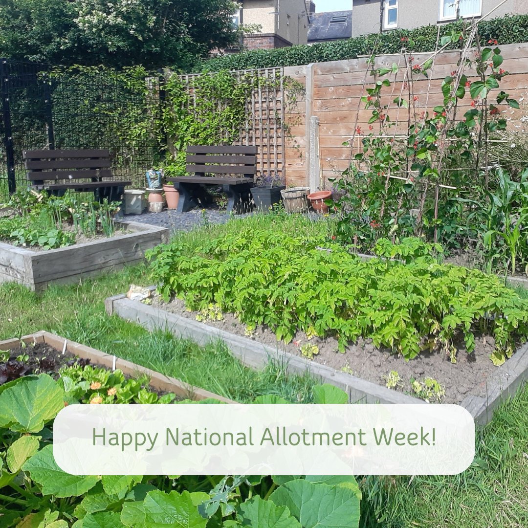 Wanting to get involved with #NationalAllotmentWeek? Check out our free gardening packages?🌱 Ranging from small projects to community makeovers, each pack includes all the materials you need to build a greener, cleaner community! 🤩 👉 bit.ly/3rzN08K #BacktoNature