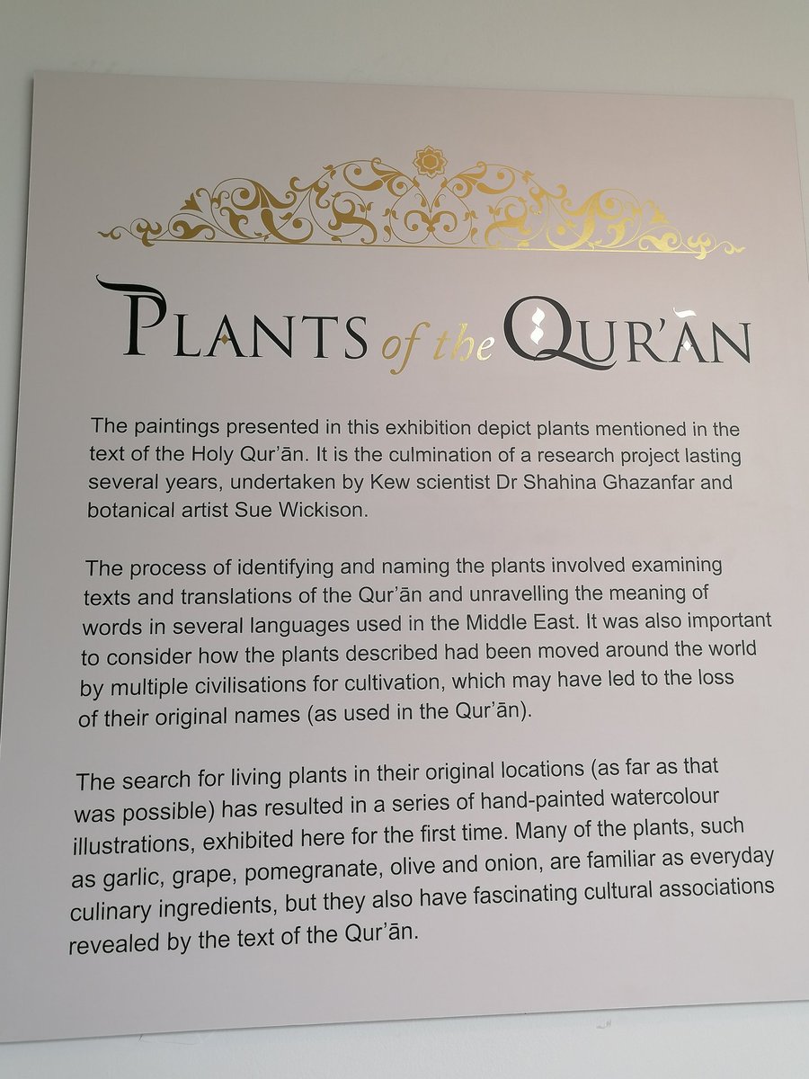 ReziaWahidWeave's tweet photo. Took my newly 14yr old to the exhibition #PlantsoftheQuran by #SueWickison @kewgardens because we love #Nature #Flowers very informative thought-provoking informative show. Have a lovely #Friday #JummaMubarak all 💖 https://t.co/jMi9Fiz9hr