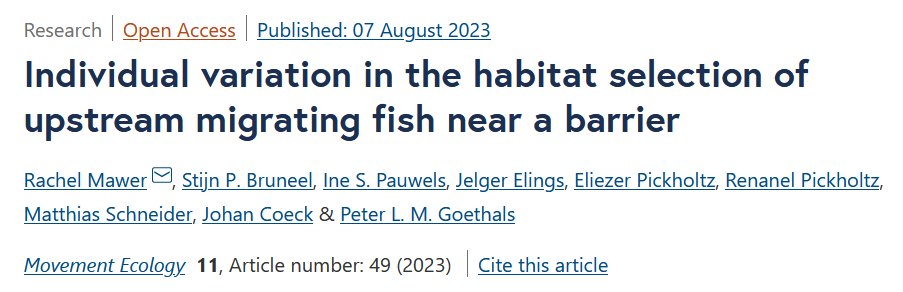 New paper out this week ‼ Analysing fine scale 2D acoustic telemetry tracks to explore habitat selection of upstream migrating fish by a barrier, showing wide individual variability in selection🐟 #trackingnotslacking #acoustictelemetry @MSCA_RIBES