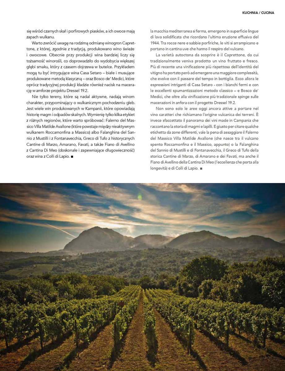 gbmarchetto tweet media