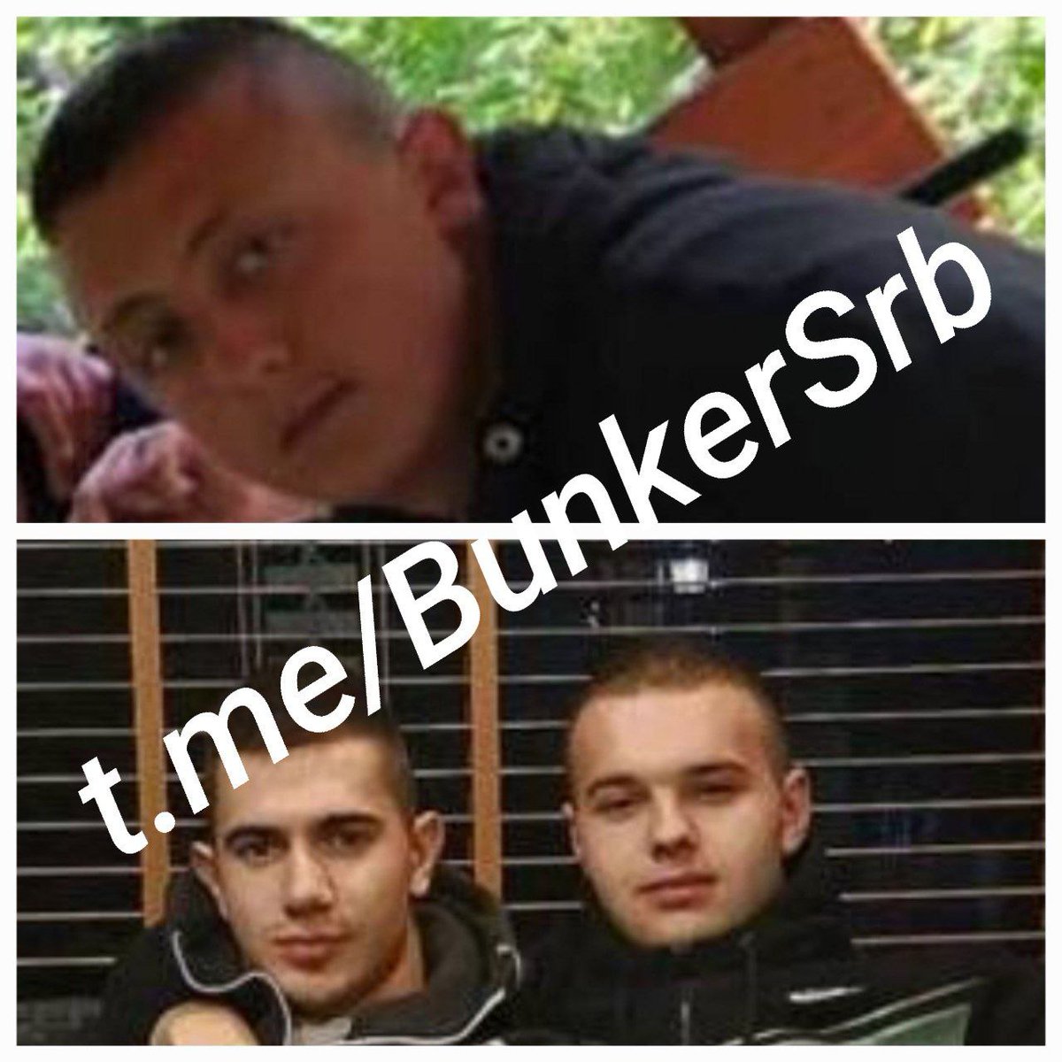 Olgica Rajković tweet media